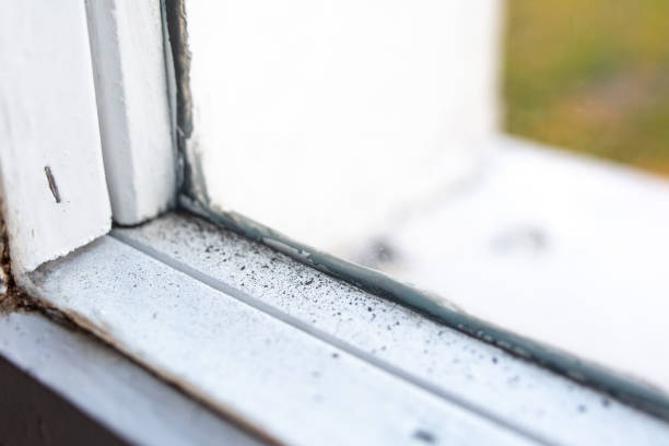 Mold Remediation for Rental Properties in Fox Chapel, PA