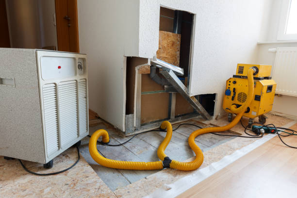 Best Post-Remediation Verification Testing  in Fox Chapel, PA